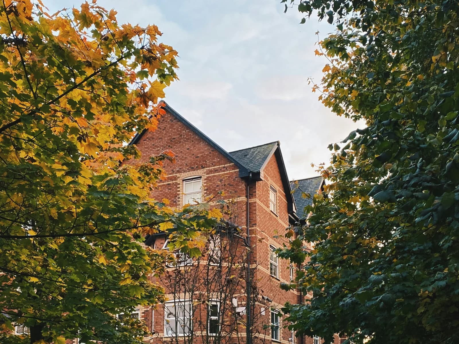A campus building in afternoon light.